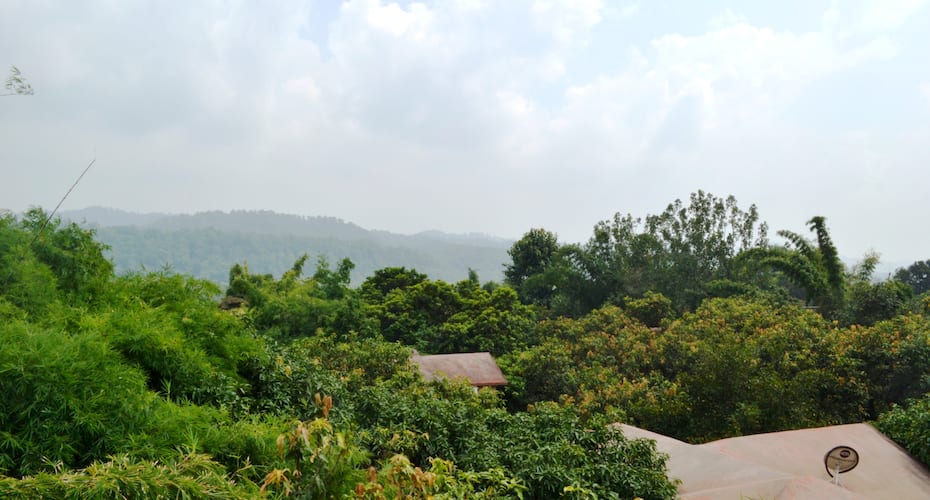Tiger Camp, Corbett 2